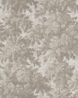 Spruce Forest, Sand, Rebel Walls