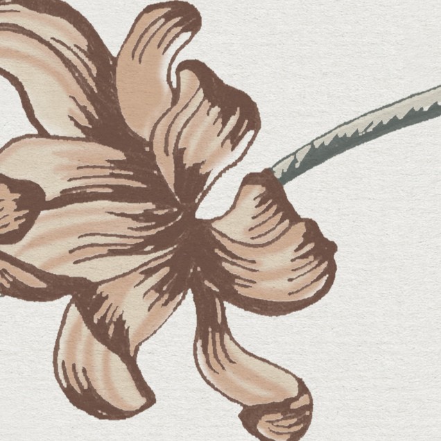 Tapet cu flori delicate, Flower Fall Pearl, cu un design subtil pe un fundal perlat.