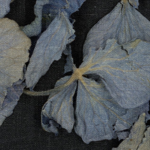 Tapet Fragile Beauty, Dark Blue cu petale de flori uscate pe un fundal întunecat