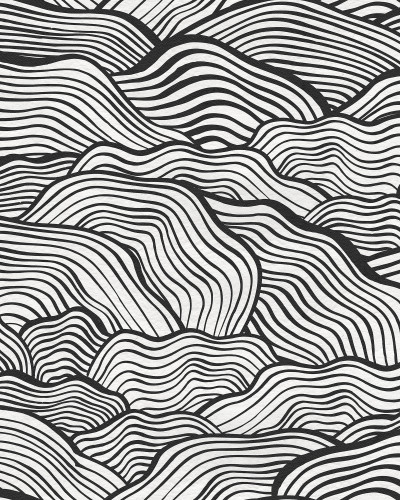 Tapet Soft Clouds, Graphite cu design minimalist, cu linii curbe, pentru un decor modern
