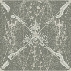 Fototapet Seaweed & Stars, Green, personalizat, Rebel Walls