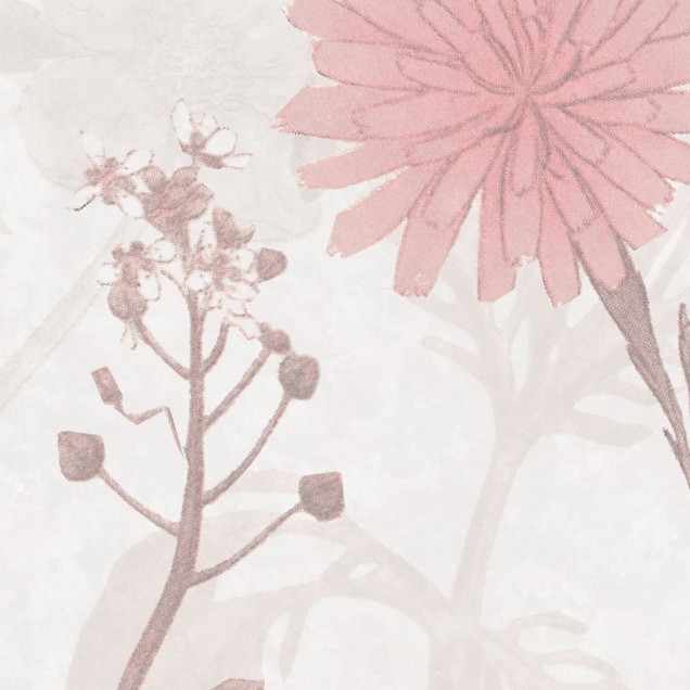 Tapet cu flori decolorate, Stormy Meadow, Dusty Pink