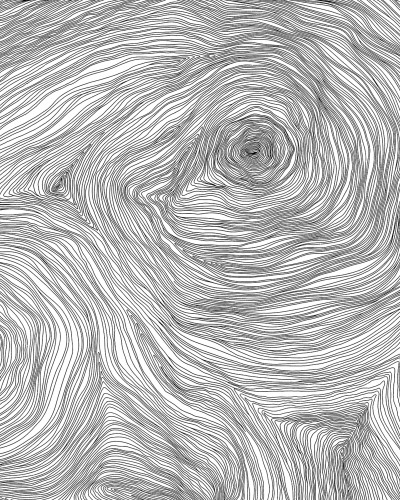 Hârtie de perete Serenity Graphite cu linii curbe negre pe un fundal alb