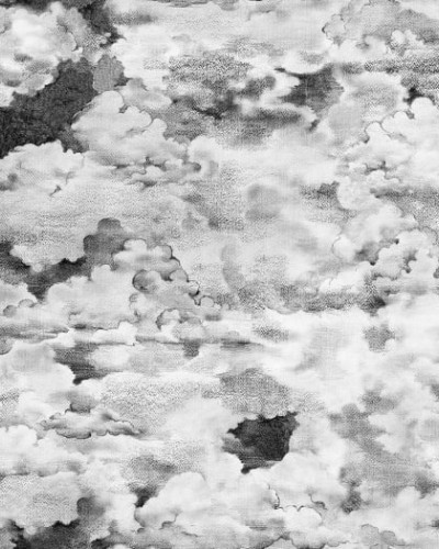 Chubby Clouds, Graphite, Rebel Walls