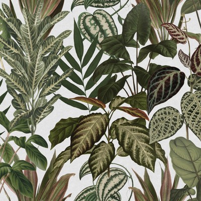 Tapet cu design exotic de frunze tropicale, pe fond alb