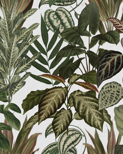 Tapet cu design exotic de frunze tropicale, pe fond alb