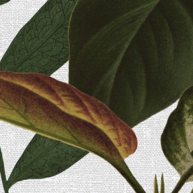 Tapet cu design exotic de frunze tropicale, pe fond alb