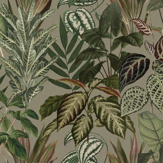 Tapet Mischievous Jungle, Sand, cu un design exotic, frunze mari și bogate, perfect pentru un decor tropical