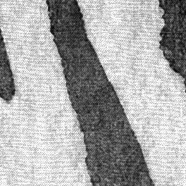 Zebra Stripes, Graphite wallpaper, dungi negre și albe pe un fundal gri, în camera de dining