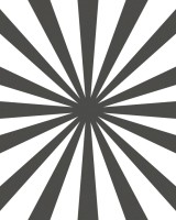 Rays, Black, Rebel Walls