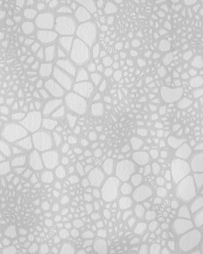 The Nest Gray, tapet gri cu design organic, ideal pentru bucătărie modernă