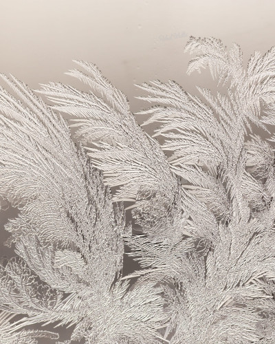 Tapet Ice Crystals cu un model delicat de cristale de gheață,  în nuanțe de bej,  într-un interior modern,  într-o zonă de luat masa.