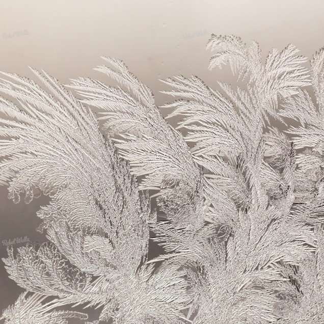 Tapet Ice Crystals cu un model delicat de cristale de gheață,  în nuanțe de bej,  într-un interior modern,  într-o zonă de luat masa.