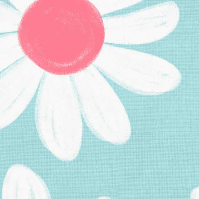 Tapet cu margarete, Dashing Daisies, Turquoise, cu fundal turcoaz delicat și flori albe cu centru roz.