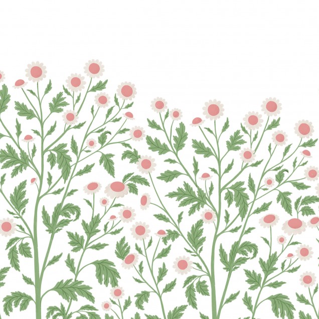 Tapet floral cu flori de mușețel delicate, perfect pentru a crea o atmosferă relaxantă și primitoare.