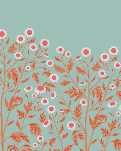 Tapet floral cu margarete, Chamomille, Summer