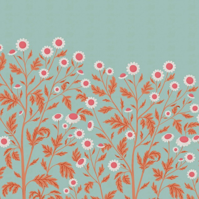 Tapet floral cu margarete, Chamomille, Summer