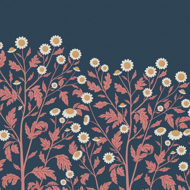 Tapet floral Chamomile, Midnight cu margarete albe pe un fundal bleumarin