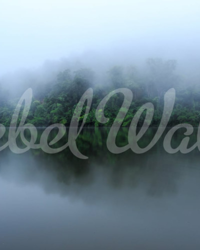 Tapet Hazy Lake cu un lac înconjurat de copaci și învăluit în ceață