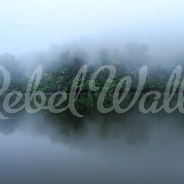 Tapet Hazy Lake cu un lac înconjurat de copaci și învăluit în ceață