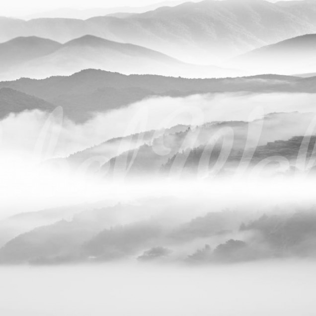 Tapet cu muntii impunatori si ceata magica, care creeaza o atmosfera calma si primitoare.