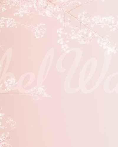 Tapet floral roz cu ramurele delicate pe un fond pastelat. Se vede o canapea alba cu perne si o lampa pe un birou.