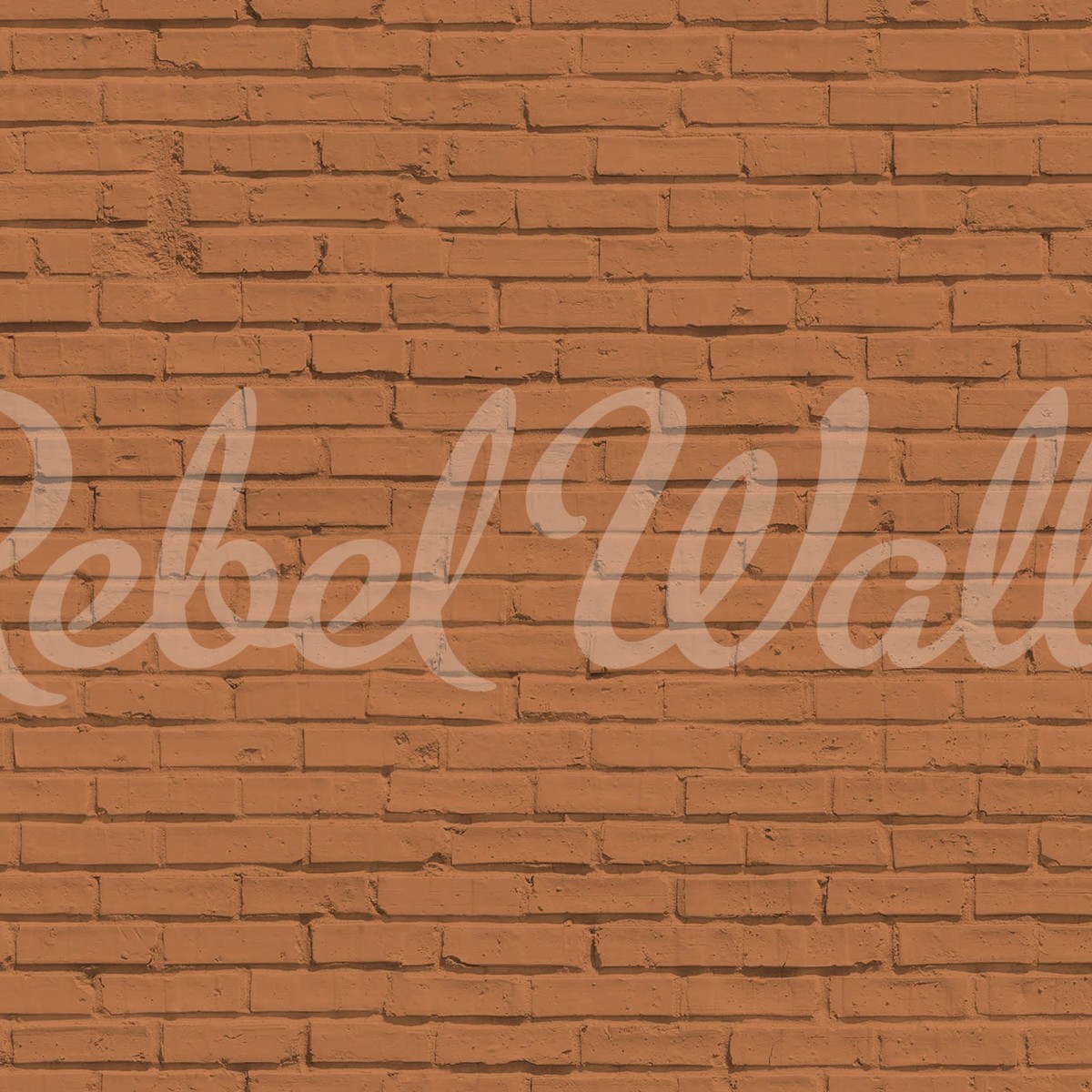 Fototapet Rebel Walls RBW-R19636. Conține culorile:
