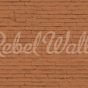 Fototapet Wall of Bricks, Terracotta, Rebel Walls