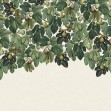 Fototapet Dangling Figs, Green, Rebel Walls