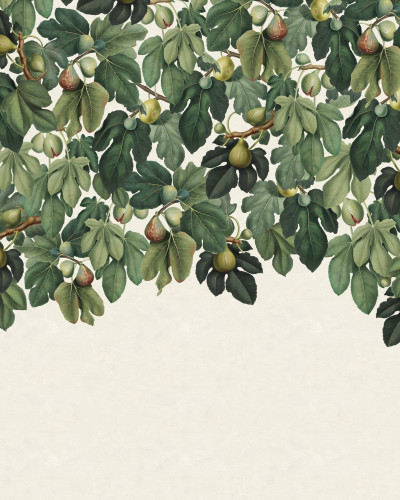 Dangling Figs, Green, Rebel Walls