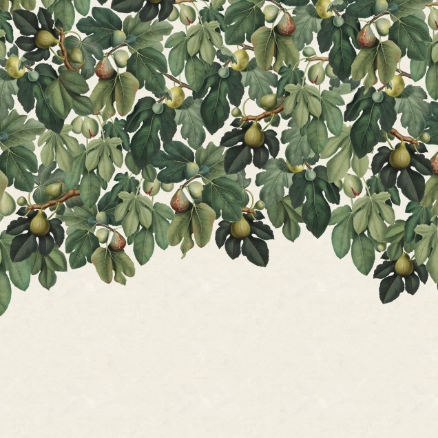 Tapet cu smochine Dangling Figs, Green, care infățișează un design delicat cu frunze verzi și fructe neutre. Tapetul este perfect pentru a decora dormitorul, livingul sau chiar bucătăria, adăugând un plus de rafinament și stil spațiului.
