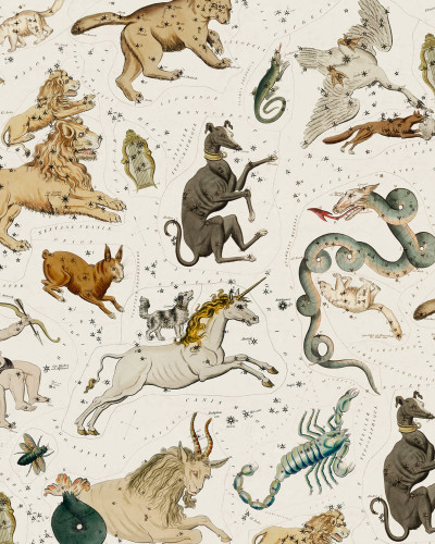 Tapet Zodiac, Day cu constelații și creaturi mitologice.