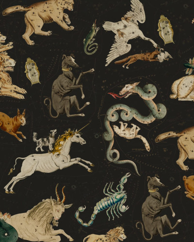 Tapet cu design Zodiacal, Night, cu constelațiile Zodiacului pe fundal negru.