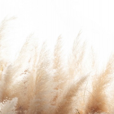 Tapet Soft Reed cu design minimalist de nuanțe calde de bej și maro.
