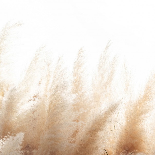 Tapet Soft Reed cu design minimalist de nuanțe calde de bej și maro.