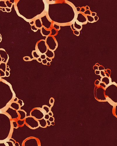 Lightning Clownfish wallpaper, abstract design, velvet material