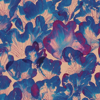 Tapet floral albastru Corals, Blue de la Rebel Walls