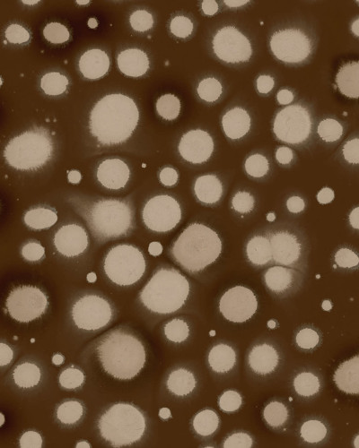 Tapet Spotted Puffer, Brown, cu puncte mari pe un fundal maro inchis, aplicat intr-un interior modern.