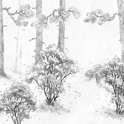 Tapet Forest Memories Graphite, cu design minimalist al unor copaci în pădure.
