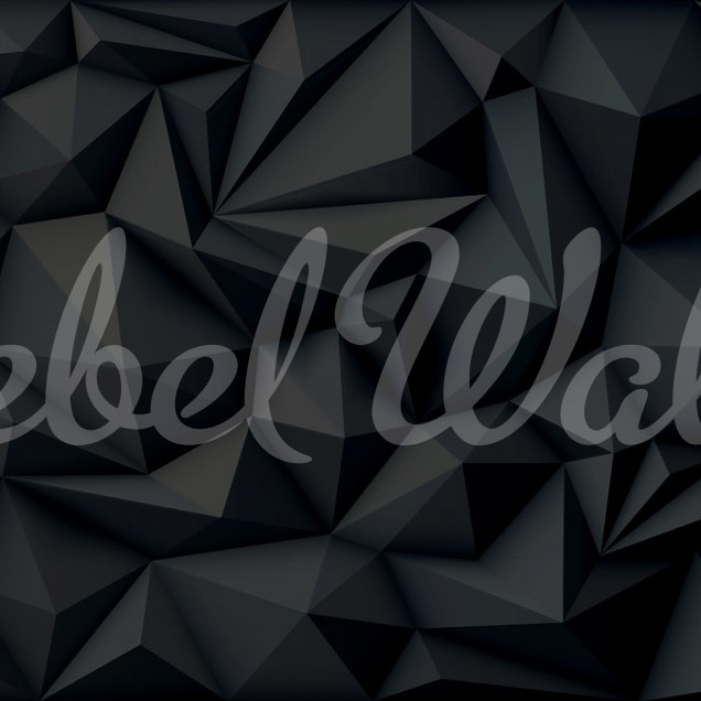 Tapet Acoustic Panel, negru, cu un design geometric abstract, pe un perete din living.