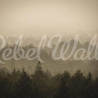 Fototapet Rebel Walls RBW-R19856. Conține culorile: