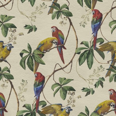 Tapet cu papagali multicolori pe un fundal nisipos, cu design vibrant și detaliat.