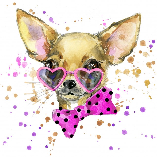 Imaginea de fundal Chihuahua, ilustrează un Chihuahua drăguț, cu ochelari roz în formă de inimă și o fundă roz cu buline negre.
