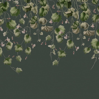 Wallpaper cu frunze verzi delicate, Dangling Ivy, pentru un decor modern și elegant.