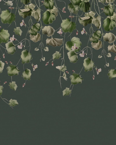 Wallpaper cu frunze verzi delicate, Dangling Ivy, pentru un decor modern și elegant.