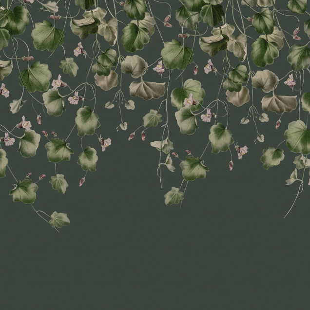 Wallpaper cu frunze verzi delicate, Dangling Ivy, pentru un decor modern și elegant.