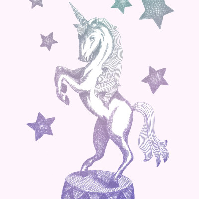 Tapet cu unicorn si stele pentru camera copiilor