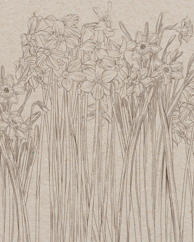 Tapet Daffodil, Beige, cu flori delicate pe un fundal bej.