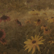 Fototapet Dreamy Rudbeckia, Vintage, Rebel Walls