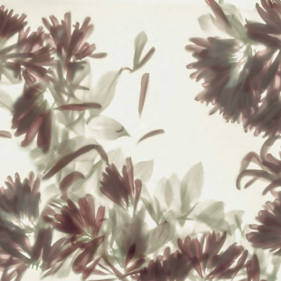 Tapet floral cu flori vagi, design minimalist in verde, perfect pentru o cameră de zi sau dormitor.